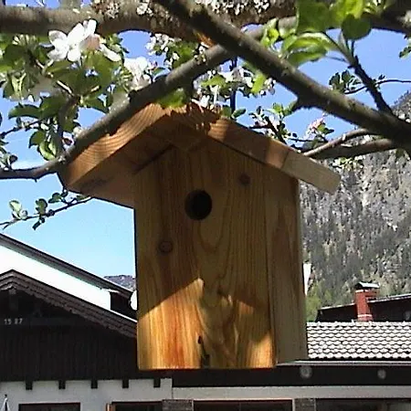 Appartement Haus Waldfriede à Pertisau Extérieur photo